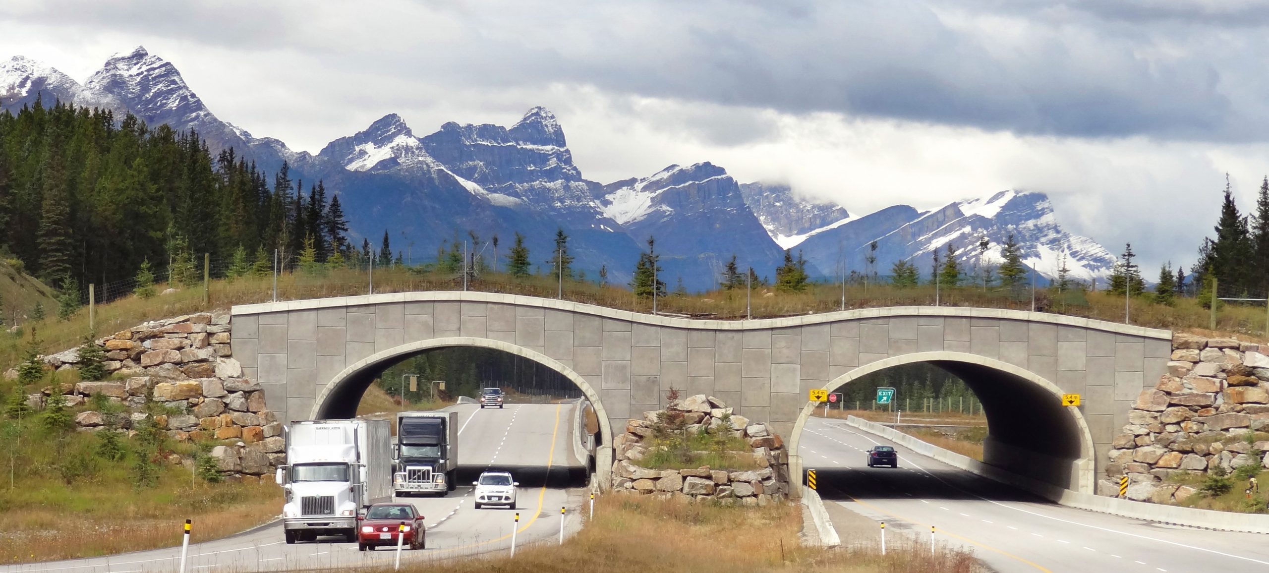 Highway overpass in the Canadian Rockies